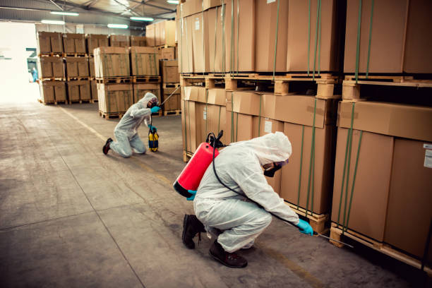 Best Exterminator Services  in Glenwood, GA