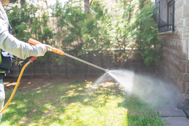 Best Pest Prevention Services  in Glenwood, GA