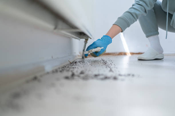 Best Affordable Pest Control Services  in Glenwood, GA