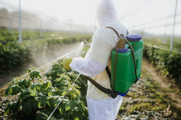 Glenwood, GA Pest Control Company
